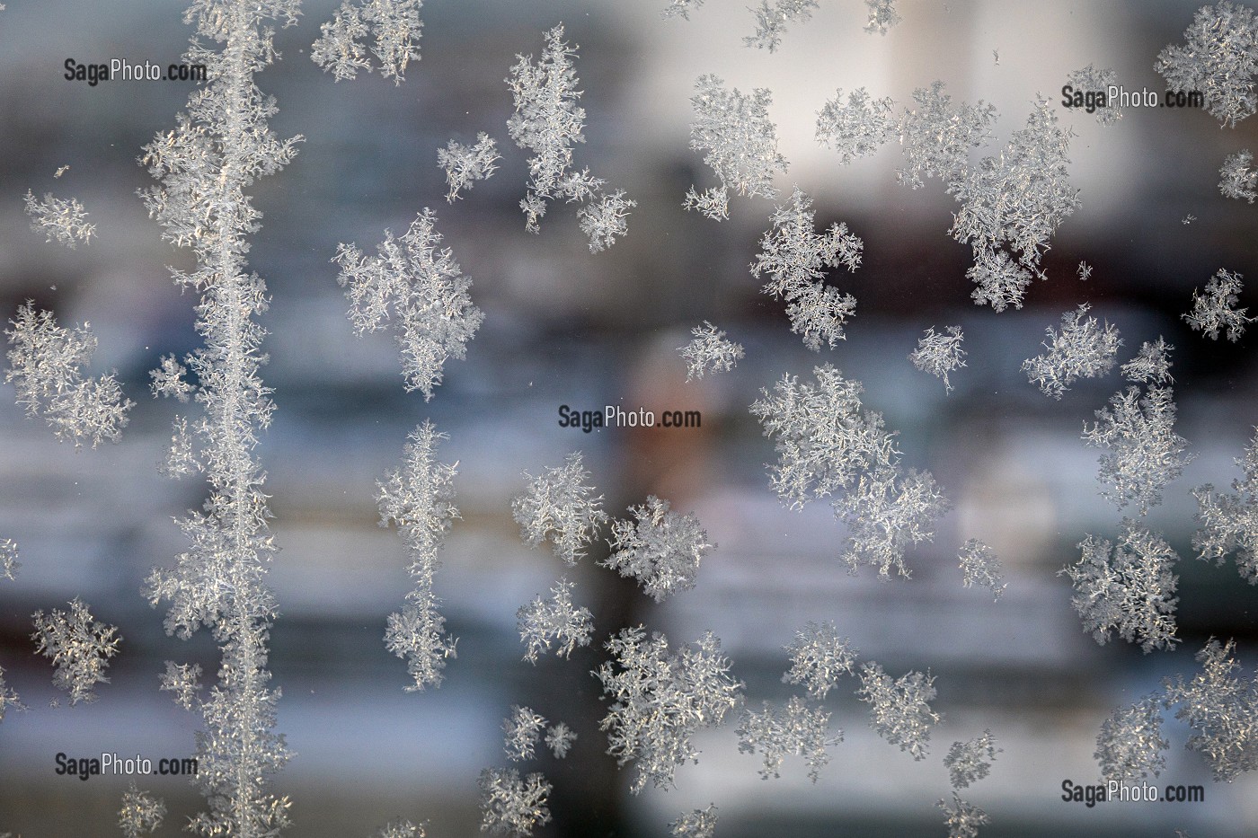 GIVRE SUR LES FENETRES, GEL DES GRANDS FROIDS, TAMPERE, FINLANDE, EUROPE 