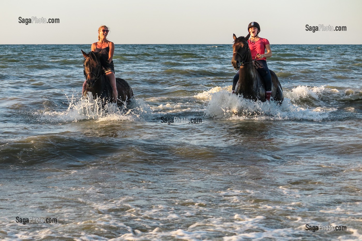 ENTRAINEMENT DES CHEVAUX DE COMPETITION SUR LA PLAGE DE CABOURG, COTE FLEURIE, CALVADOS, NORMANDIE, FRANCE 