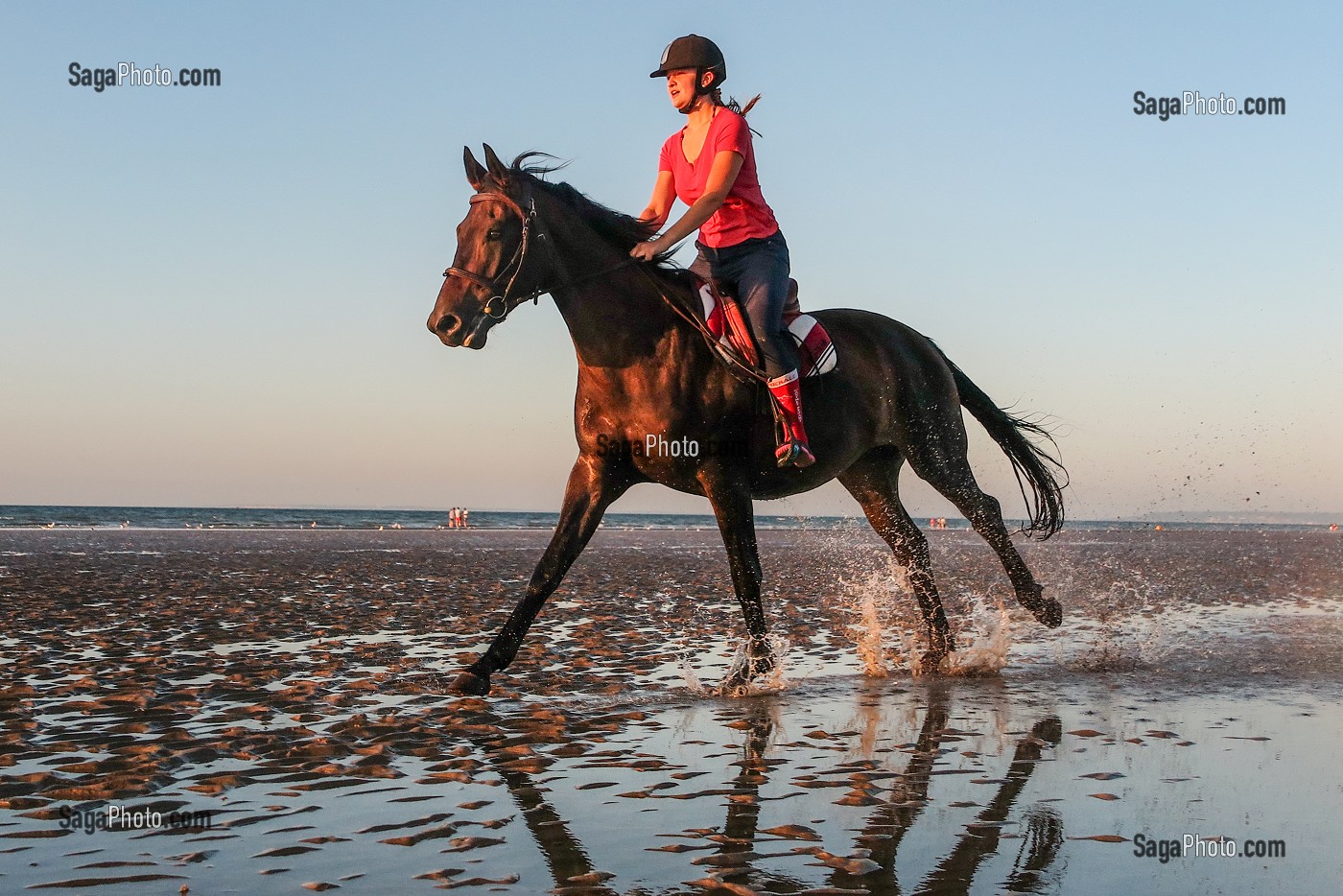 ENTRAINEMENT DES CHEVAUX DE COMPETITION SUR LA PLAGE DE CABOURG, COTE FLEURIE, CALVADOS, NORMANDIE, FRANCE 