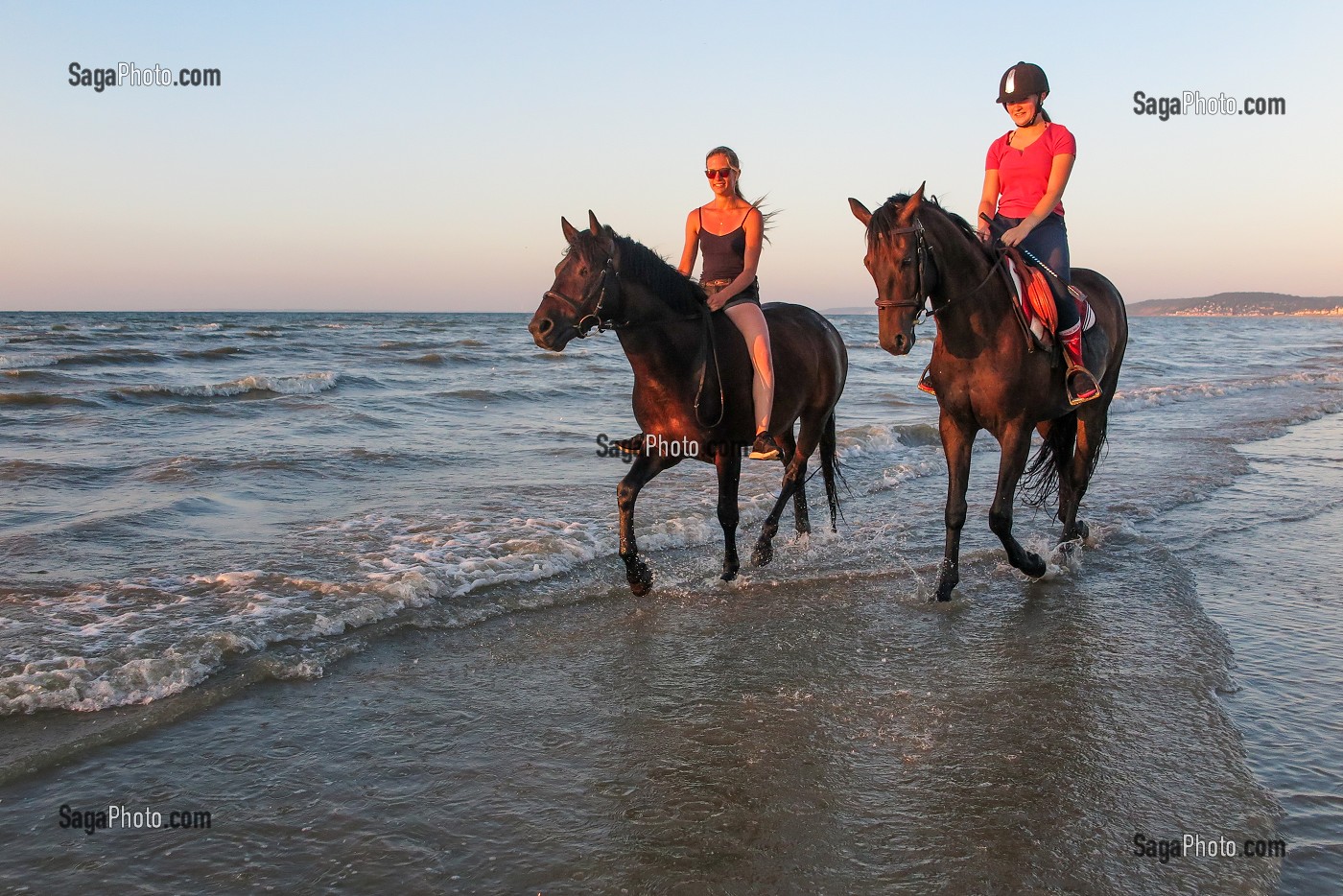 ENTRAINEMENT DES CHEVAUX DE COMPETITION SUR LA PLAGE DE CABOURG, COTE FLEURIE, CALVADOS, NORMANDIE, FRANCE 