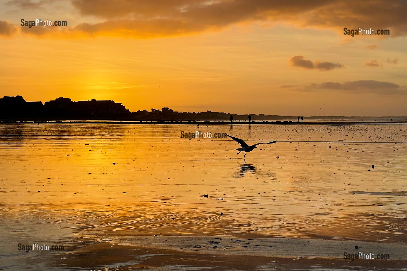 COUCHER DE SOLEIL SUR LA PLAGE DE CABOURG, CALVADOS, NORMANDIE, FRANCE 