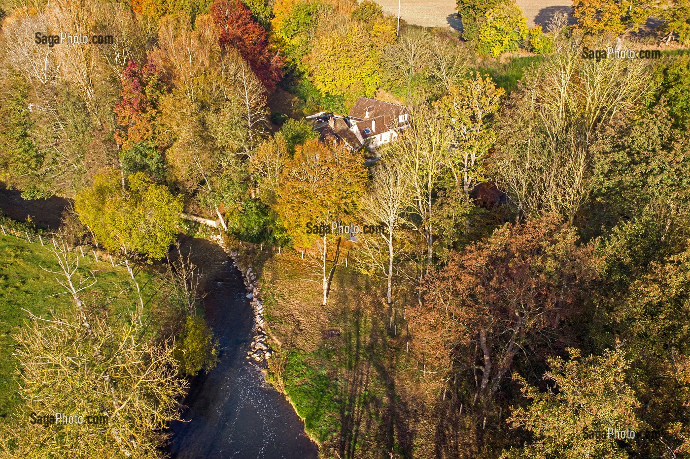 PAYSAGE D'AUTOMNE AU BORD DE LA RISLE, RUGLES, EURE, NORMANDIE, FRANCE 