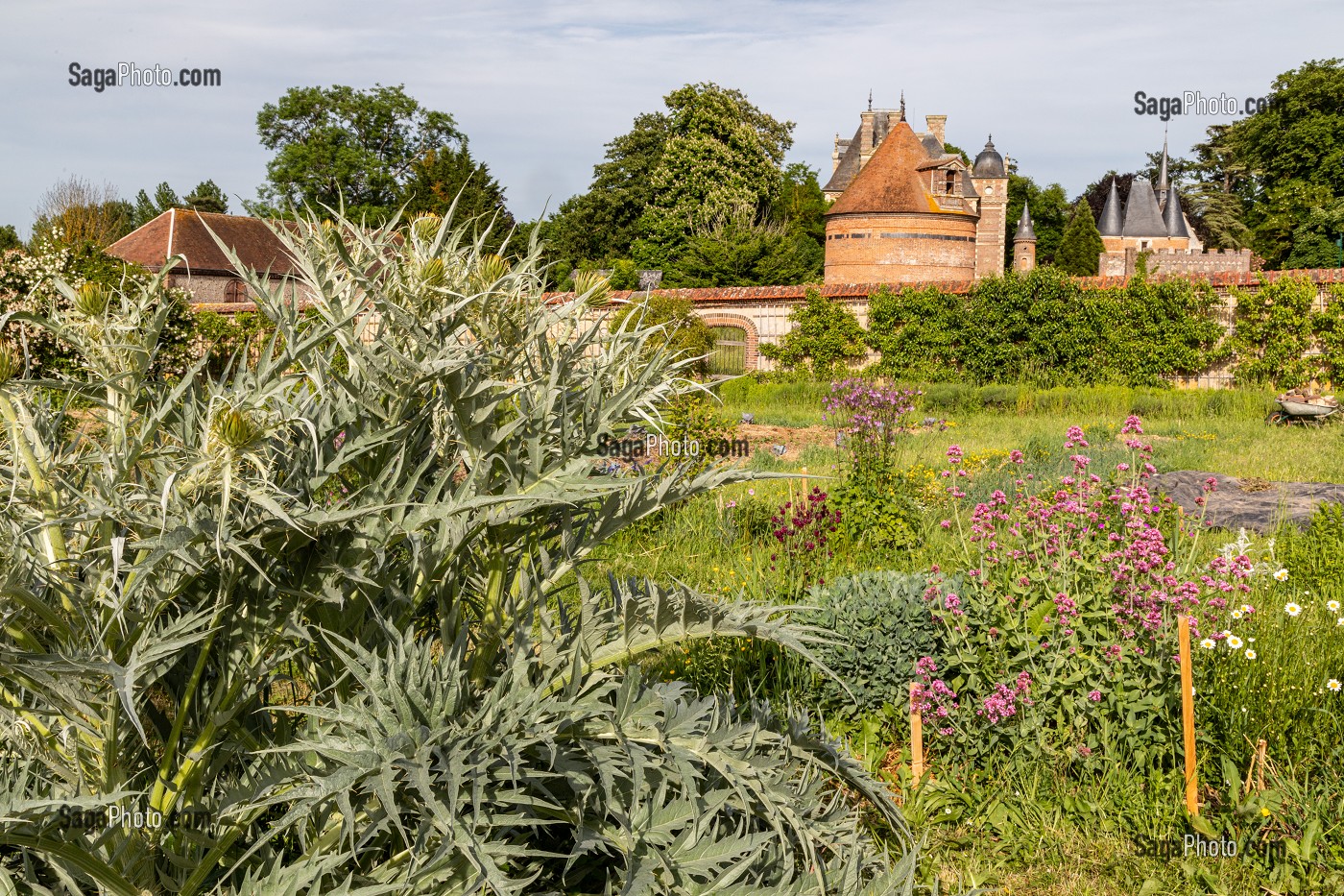 LE JARDIN POTAGER DU DOMAINE DE CHAMBRAY, LYCEE AGRICOLE DU CHATEAU DE CHAMBRAY, MESNIL-SUR-ITON, EURE, NORMANDIE, FRANCE 