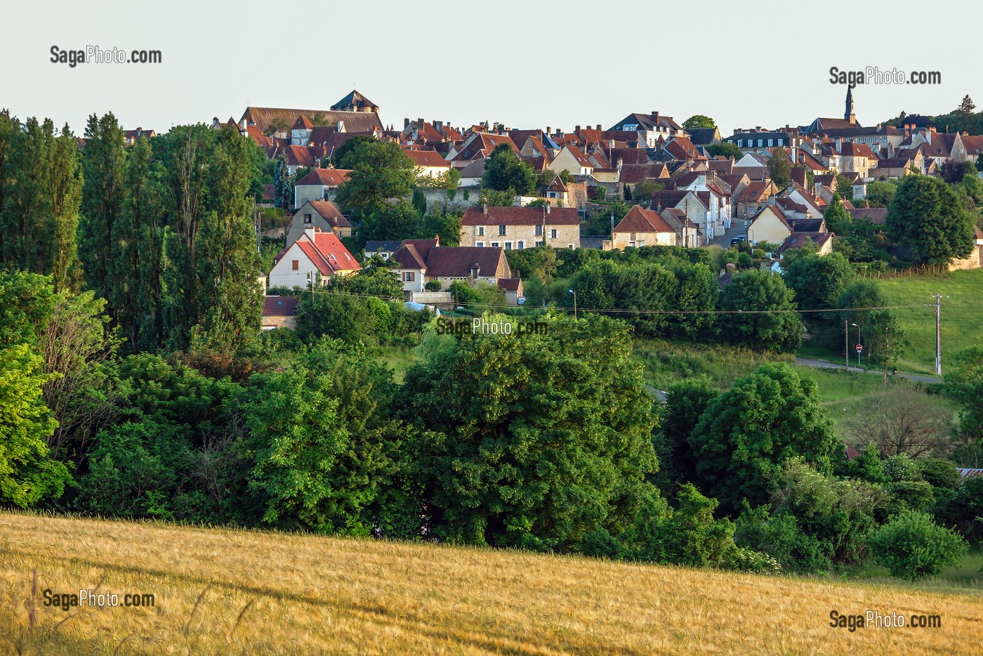 VILLAGE PERCHERON DE MORTAGNE-AU-PERCHE ACCROCHE A LA COLLINE, ORNE, PERCHE, NORMANDIE, FRANCE 