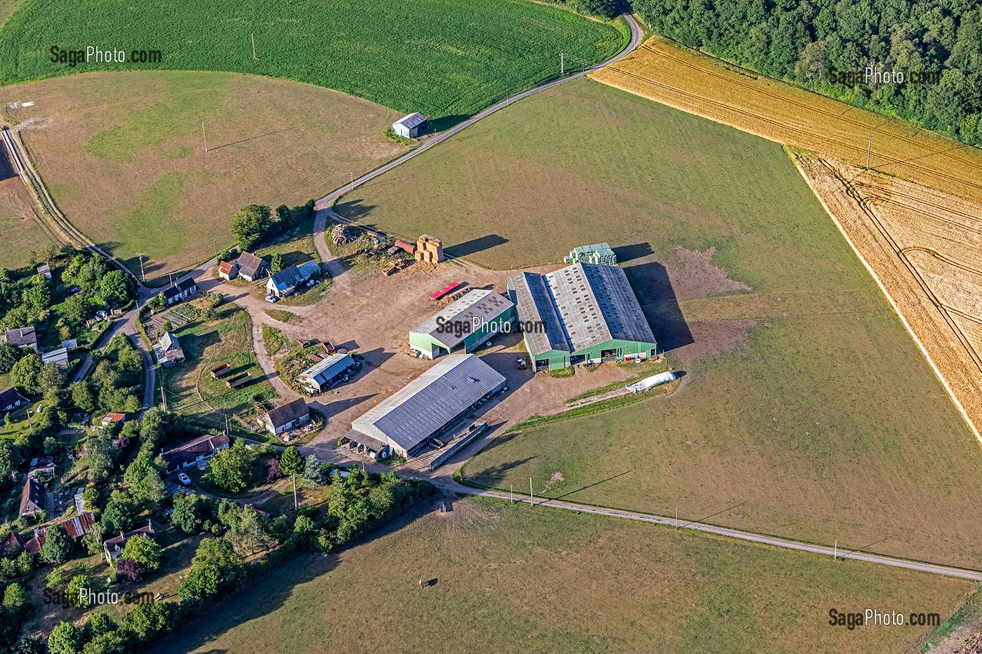 FERME D'ELEVAGE ET DE CULTURE, LA VALLEE DE LA RISLE, NEAUFLES-AUVERGNY, EURE, NORMANDIE, FRANCE 