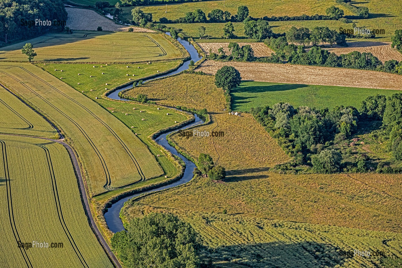 CULTURE ET PRAIRIE DANS LA VALLEE DE LA RISLE, LA VIEILLE-LYRE, EURE, NORMANDIE, FRANCE 