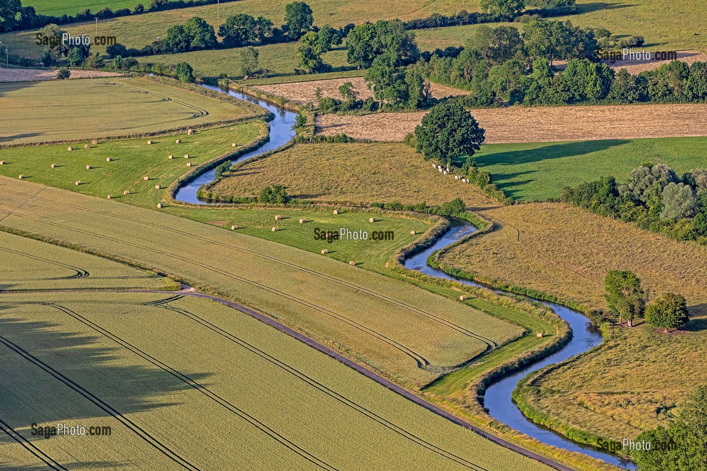 CULTURE ET PRAIRIE DANS LA VALLEE DE LA RISLE, LA VIEILLE-LYRE, EURE, NORMANDIE, FRANCE 