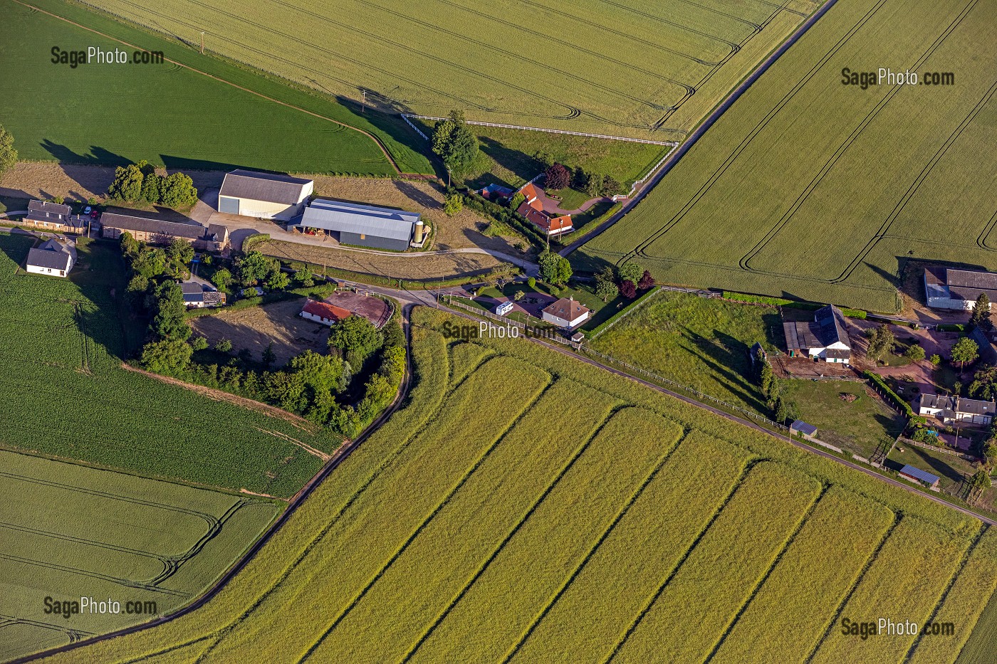 FERME DANS LA CAMPAGNE AU MILIEU DES CHAMPS DE CEREALES, VALLEE DE LA RISLE, LA VIEILLE-LYRE, EURE, NORMANDIE, FRANCE 