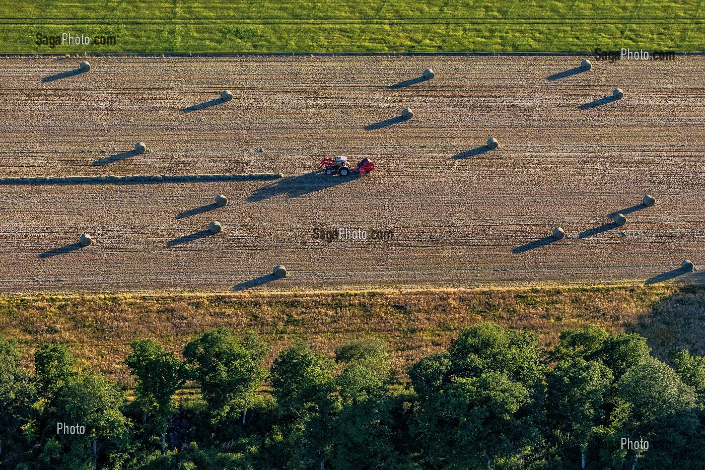 TRACTEUR AVEC LA RAMASSEUSE-PRESSE DE ROUNDBALEUR DE FOIN, TRAVAIL DES CHAMPS, EURE, NORMANDIE, FRANCE 