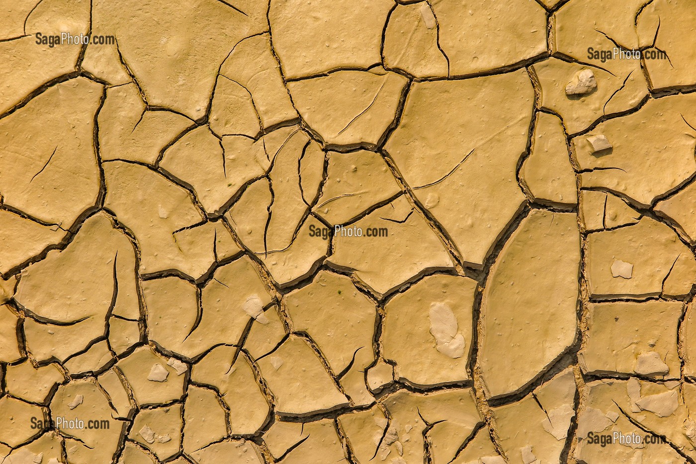 ILLUSTRATION DE LA SECHERESSE, TERRE CRAQUELEE QUAND L'EAU SE RETIRE FAUTE DE PRECIPITATIONS, BLAYE, GIRONDE, FRANCE 