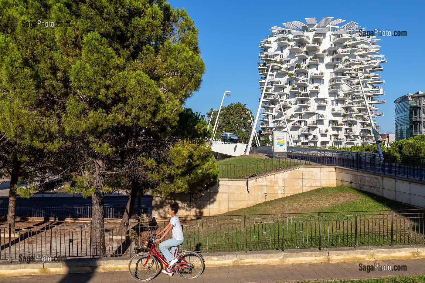 IMMEUBLE MODERNE L'ARBRE BLANC, ARCHITECTES SOO FOUJIMOTO, NICOLAS LAISNE ET MANAL RACHDI, BATIMENT ELU PLUS BEL IMMEUBLE RESIDENTIEL DU MONDE EN 2019, PLACE CHRISTOPHE COLOMB, MONTPELLIER, HERAULT, OCCITANIE, FRANCE 