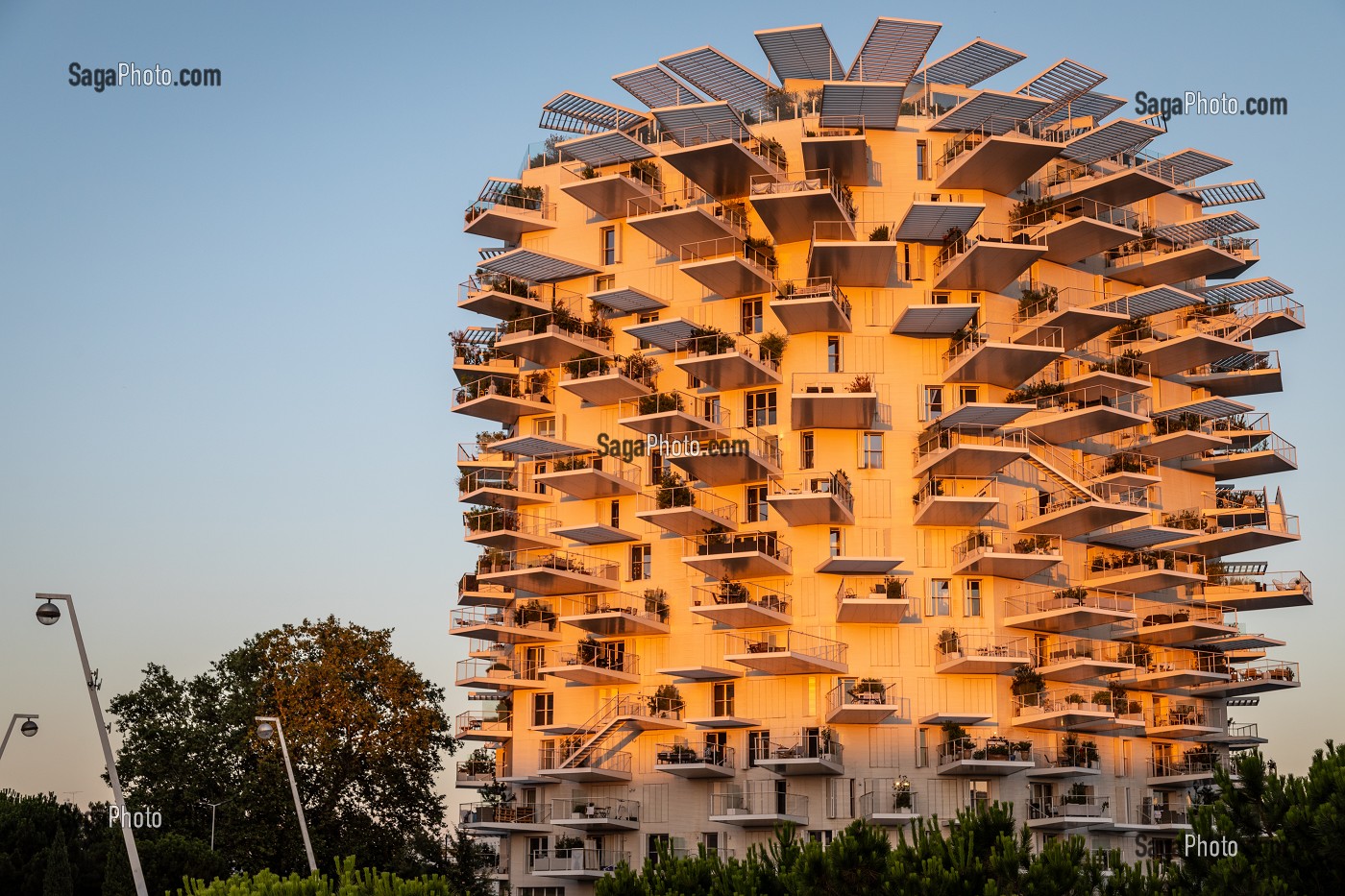 IMMEUBLE MODERNE L'ARBRE BLANC, ARCHITECTES SOO FOUJIMOTO, NICOLAS LAISNE ET MANAL RACHDI, BATIMENT ELU PLUS BEL IMMEUBLE RESIDENTIEL DU MONDE EN 2019, PLACE CHRISTOPHE COLOMB, MONTPELLIER, HERAULT, OCCITANIE, FRANCE 