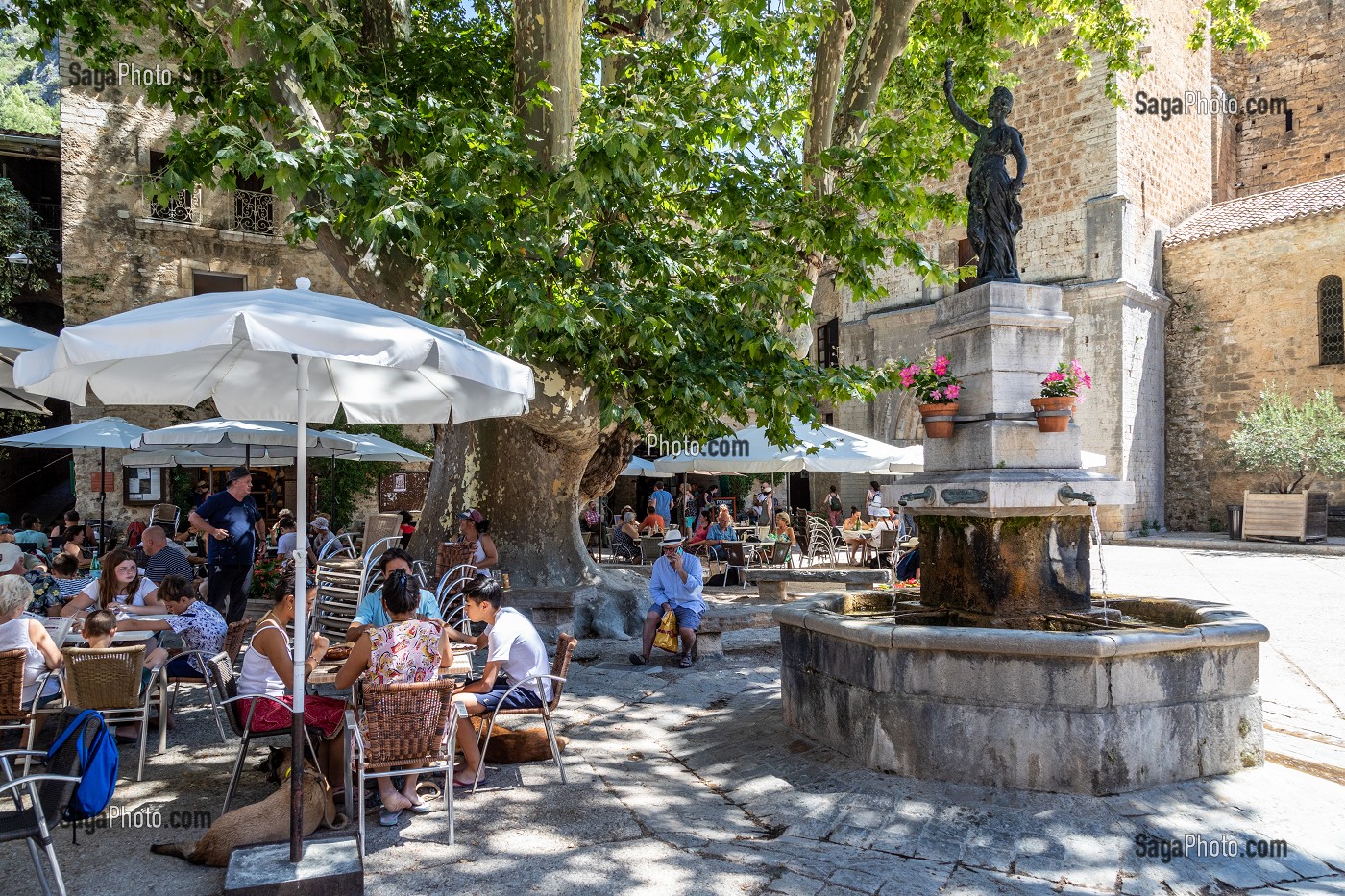 TERRASSES DES RESTAURANTS SOUS LE PLATANE REMARQUABLE ET FONTAINE, SAINT-GUILHEM-LE-DESERT, CLASSE PLUS BEAU VILLAGE DE FRANCE, HERAULT, OCCITANIE, FRANCE 