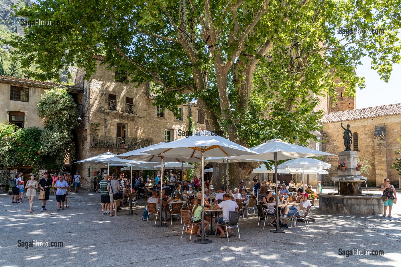 TERRASSES DES RESTAURANT A L'OMBRE DU PLATANE LABELLISE ARBRE REMARQUABLE DE FRANCE, SAINT-GUILHEM-LE-DESERT, CLASSE PLUS BEAU VILLAGE DE FRANCE, HERAULT, OCCITANIE, FRANCE 