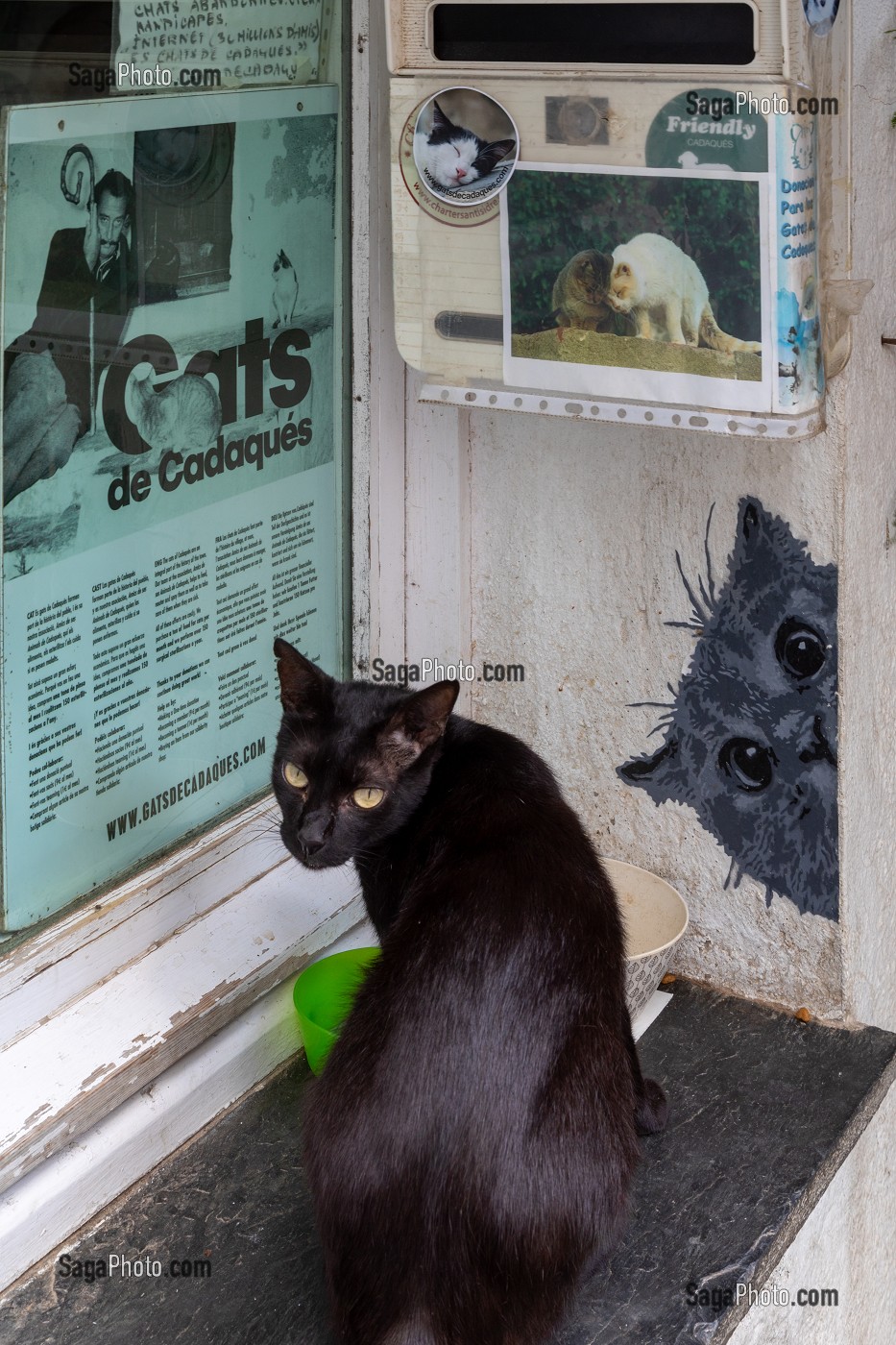 LES CHATS DE VILLAGE SONT DEVENUS UNE INSTITUTION, PATRIMOINE LOCAL, CADAQUES, COSTA BRAVA, CATALOGNE, ESPAGNE 