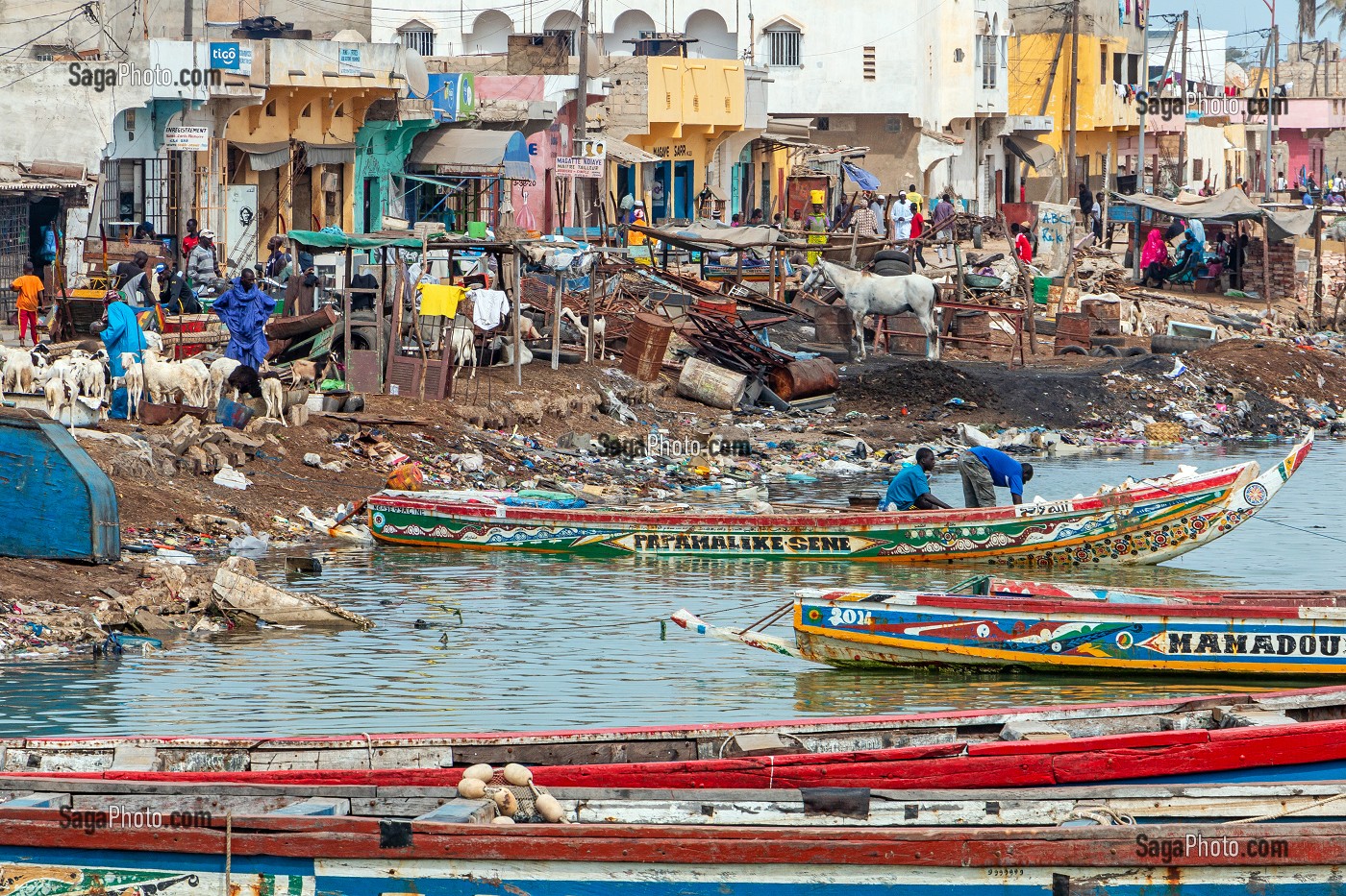 SCENE DE RUE AVEC MARCHE DES CHEVRES, DU POISSON AU BORD DU FLEUVE, GUET NDAR, QUARTIER DU VILLAGE DES PECHEURS AVEC LES PIROGUES COLORES, SAINT-LOUIS-DU-SENEGAL, SENEGAL, AFRIQUE DE L'OUEST 