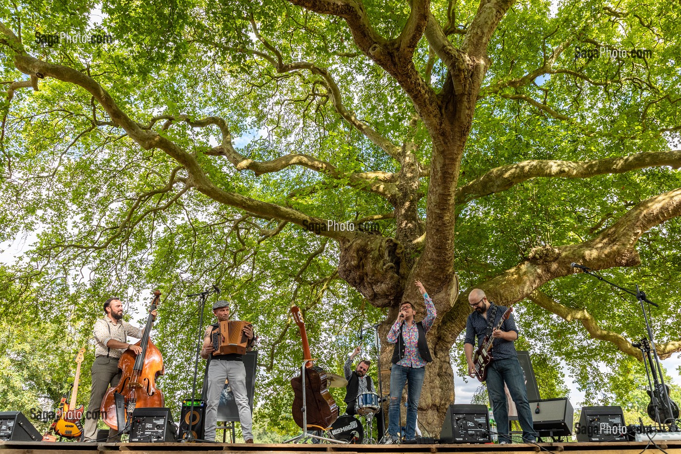 CONCERT DES MEGOTS SOUS LES PLATANES AVEC UNE EXPOSITION TERRE FRAGILE, ARBRE REMARQUABLE DE 300 ANS, VILLE DE L'AIGLE, ORNE, NORMANDIE, FRANCE 