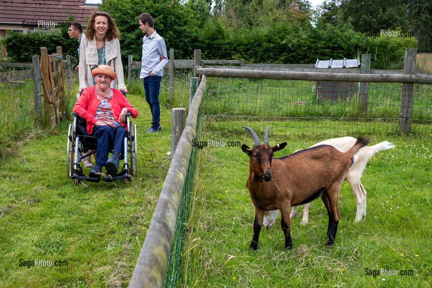 PETITE FERME D'AGREMENT POUR LES PERSONNES EN SITUATION DE HANDICAP, VISITE DE LA FAMILLE, FOYER JULES LEDEIN, LA NEUVILLE-DU-BOSC, EURE, NORMANDIE, FRANCE 