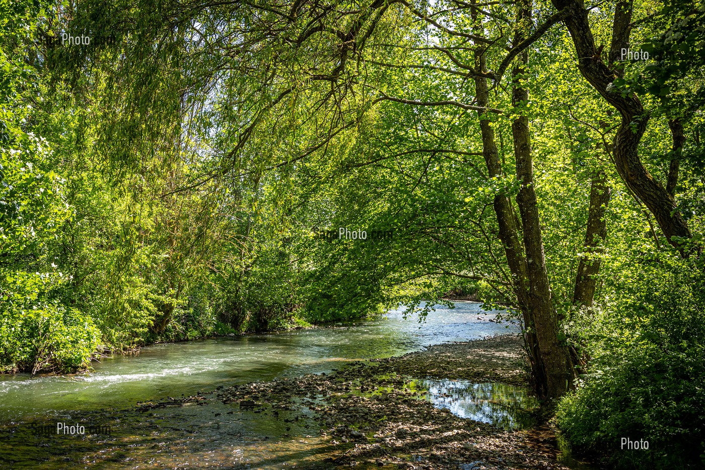 BORDS DE LA RIVIERE, RUGLES, VALLEE DE LA RISLE, EURE, NORMANDIE, FRANCE 