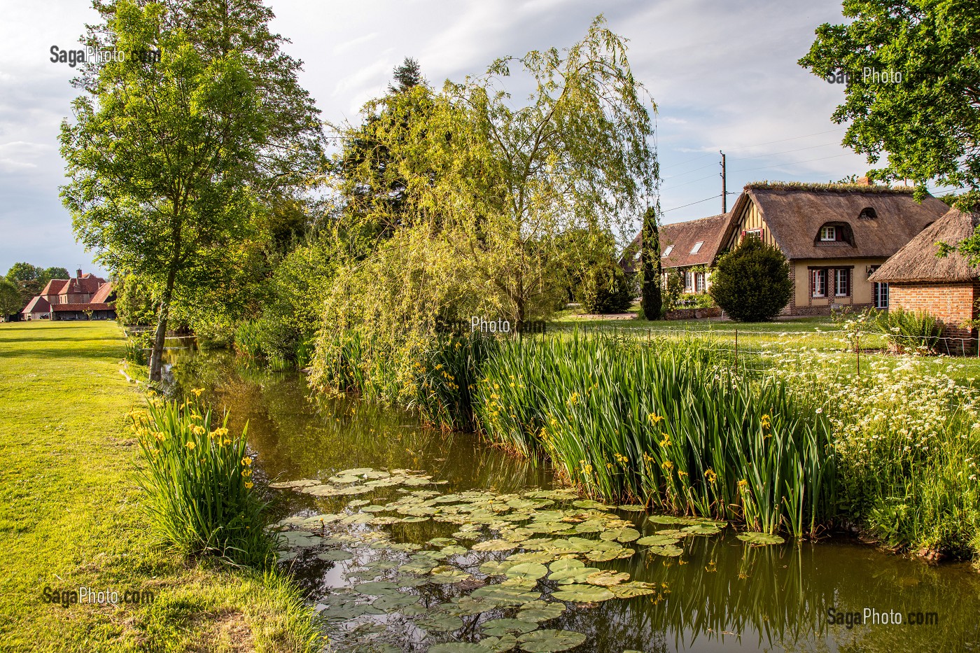 CHAUMIERE NORMANDE SUR UN BRAS MORT DE LA RIVIERE, TRISAY, LA VIEILLE-LYRE, VALLEE DE LA RISLE, EURE, NORMANDIE, FRANCE 