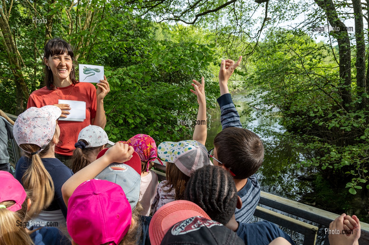 ANIMATRICE NATURE ET DECOUVERTE DE LA FAUNE ET DE LA FLORE AUTOUR DE LA RIVIERE, ELEVES ET ENSEIGNANTE DE L'ECOLE MATERNELLE DE BOURTH, VALLEE DE L'ITON, EURE, NORMANDIE, FRANCE 