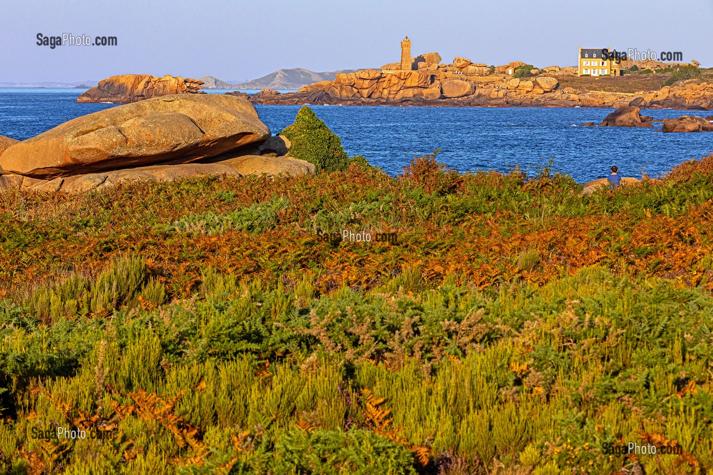 VUE SUR LE PHARE DE PLOUMANACH AU COUCHER DE SOLEIL, ESPACE NATUREL DE LANDES ET FOUGERES DE LA POINTE DE L'ILE RENOTE, TREGASTEL, COTE DE GRANIT ROSE, COTES-D’ARMOR, BRETAGNE, FRANCE 