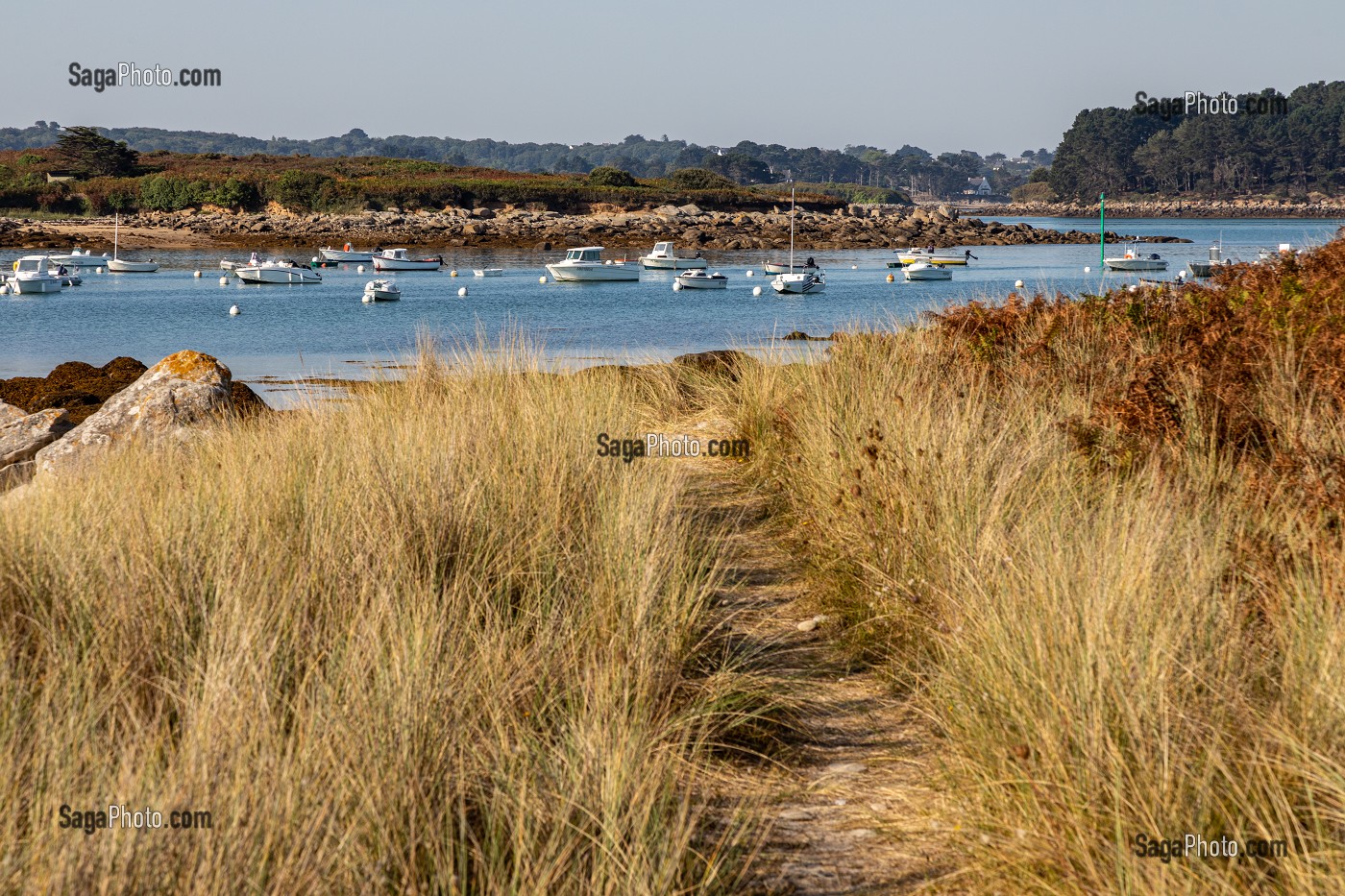 PETIT PORT DE PLAISANCE DEVANT L'ILE D'ERC'C, PLEUMEUR-BODOU, COTE DE GRANIT ROSE, COTES-D'AMOR, BRETAGNE, FRANCE 