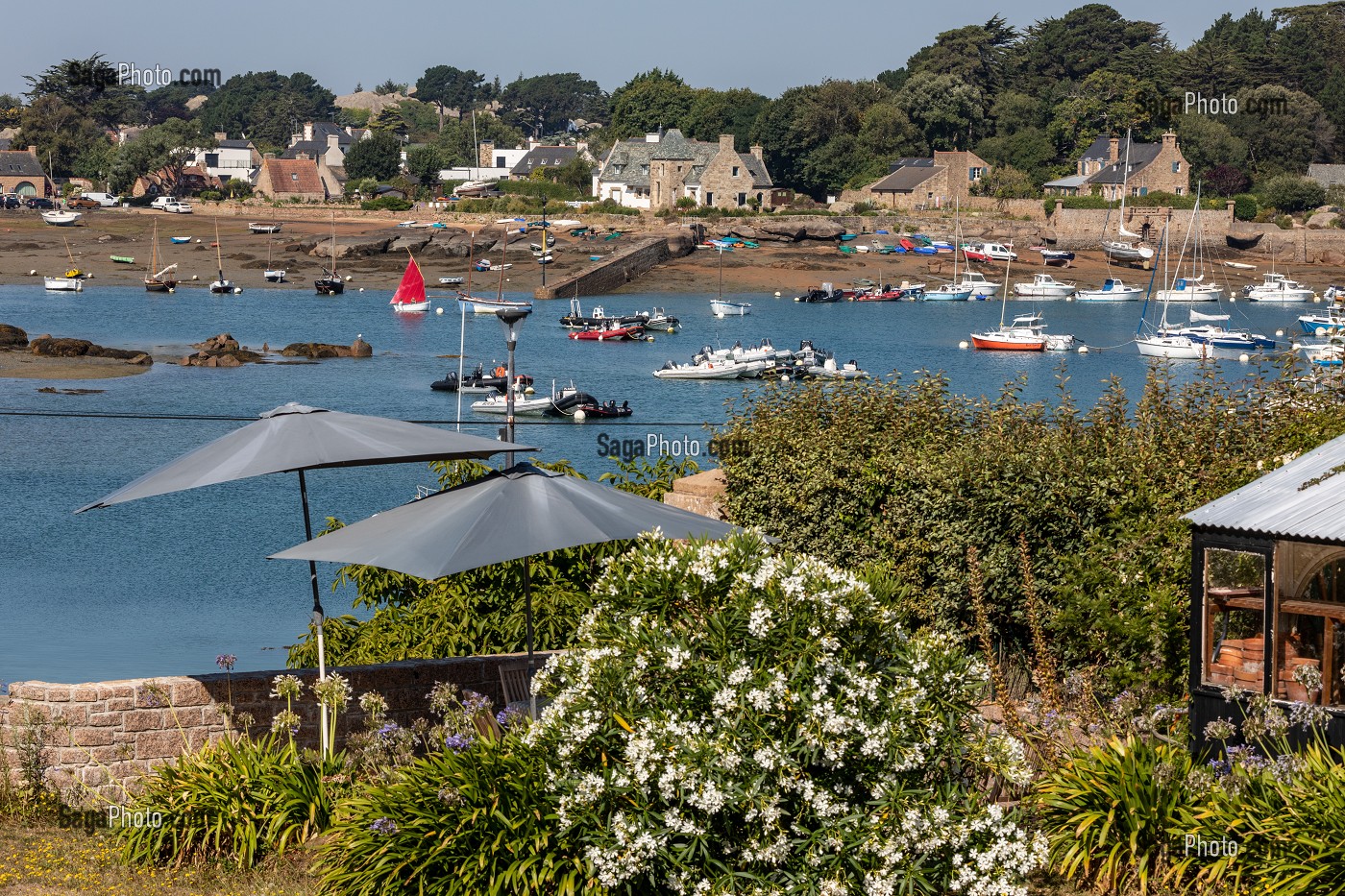 JARDIN PRIVATIF AVEC VUE SUR LE PORT DE PLOUMANAC'H, PERROS-GUIREC, COTE DE GRANIT ROSE, COTES-D'AMOR, BRETAGNE, FRANCE 