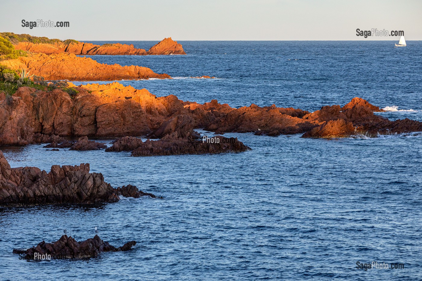 LES ROCHES ROUGES DU MASSIF DE L'ESTEREL, BORD DE MER AU CAP ESTEREL, LE DRAMONT, SAINT-RAPHAEL, VAR, FRANCE 