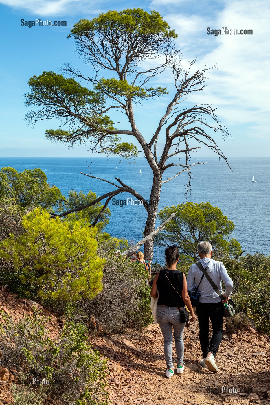 BALADE SUR LE SENTIER DU CAP DRAMONT, LES ROCHES ROUGES, SAINT-RAPHAEL, VAR, FRANCE 