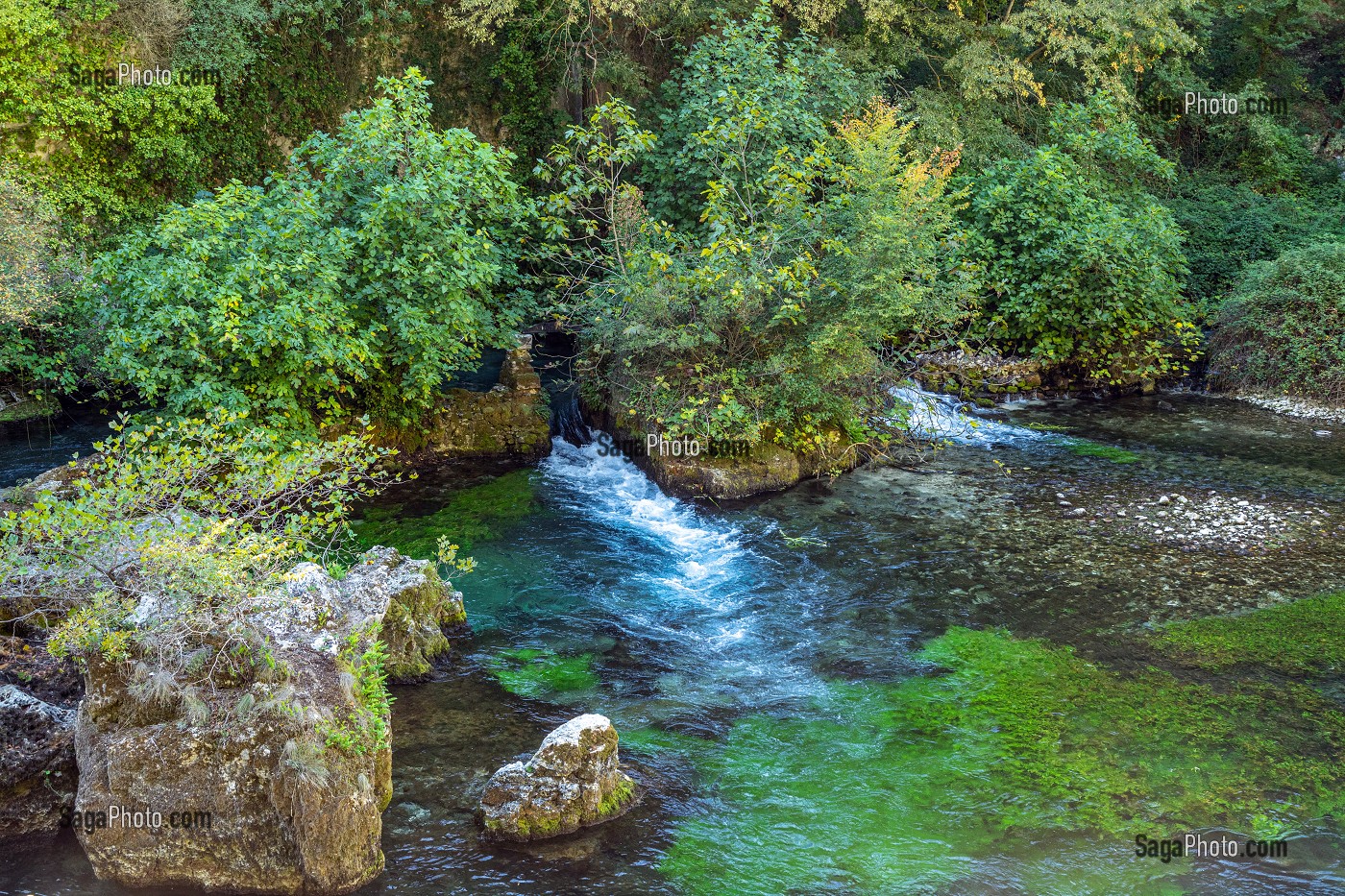 LES EAUX TRANSPARENTES ET PURES DE LA SORGUE, FONTAINE-DE-VAUCLUSE, FRANCE 