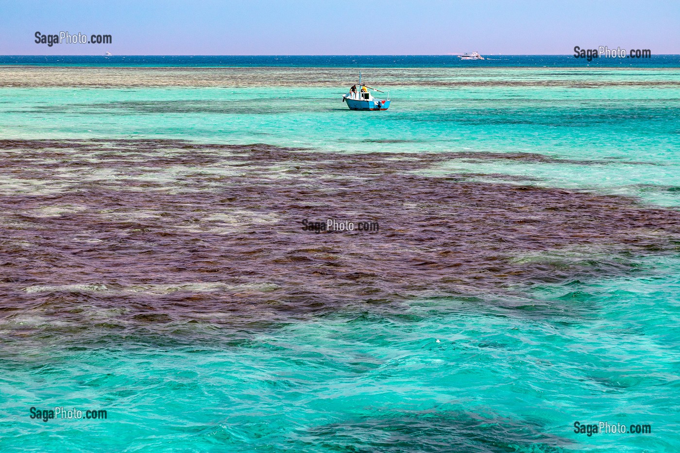 PLONGEE SUR LES MASSIFS DE CORAIL DE LA MER ROUGE, HURGHADA, EGYPTE, AFRIQUE 