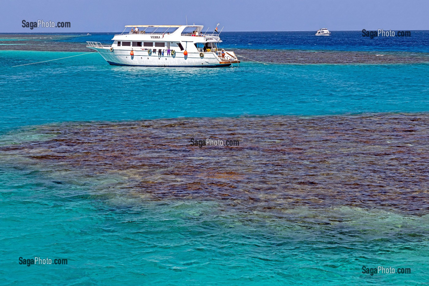 PLONGEE SUR LES MASSIF DE CORAIL DE LA MER ROUGE, HURGHADA, EGYPTE, AFRIQUE 