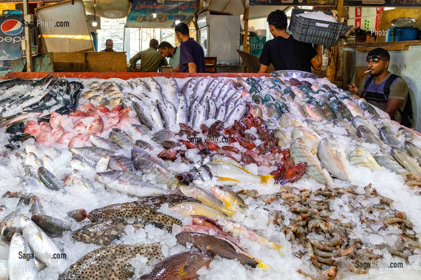 LES ETALAGES DE POISSONS COLOREES DU MARCHE AUX POISSONS DE LA MARINA, HURGHADA, EGYPTE, AFRIQUE 