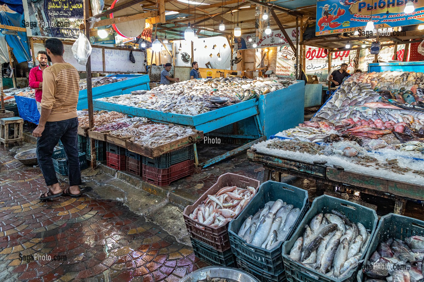 LES ETALAGES DE POISSONS COLOREES DU MARCHE AUX POISSONS DE LA MARINA, HURGHADA, EGYPTE, AFRIQUE 