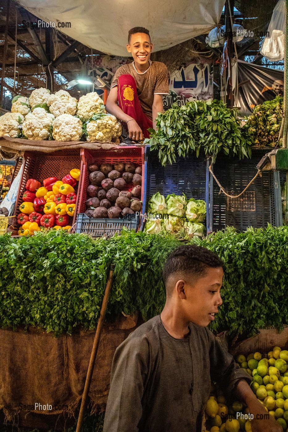 LES ENFANTS SUR LEUR ETALAGE DE FRUITS ET LEGUMES, MARCHE EL DAHAR, QUARTIER POPULAIRE DE LA VIEILLE VILLE, HURGHADA, EGYPTE, AFRIQUE 