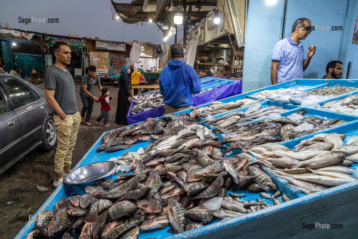 MARCHANDS DE POISSONS, MARCHE EL DAHAR, QUARTIER POPULAIRE DE LA VIEILLE VILLE, HURGHADA, EGYPTE, AFRIQUE 