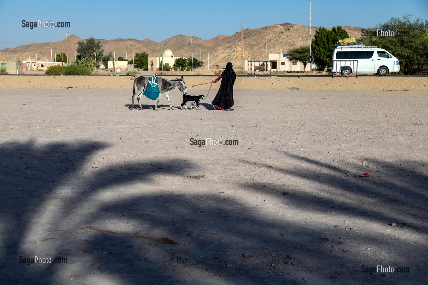 FEMME VOILEE AVEC SON ANE ET SA CHEVRE, AIRE DU COFFEE SHOP DANS LE DESERT, QENA, EGYPTE, AFRIQUE 