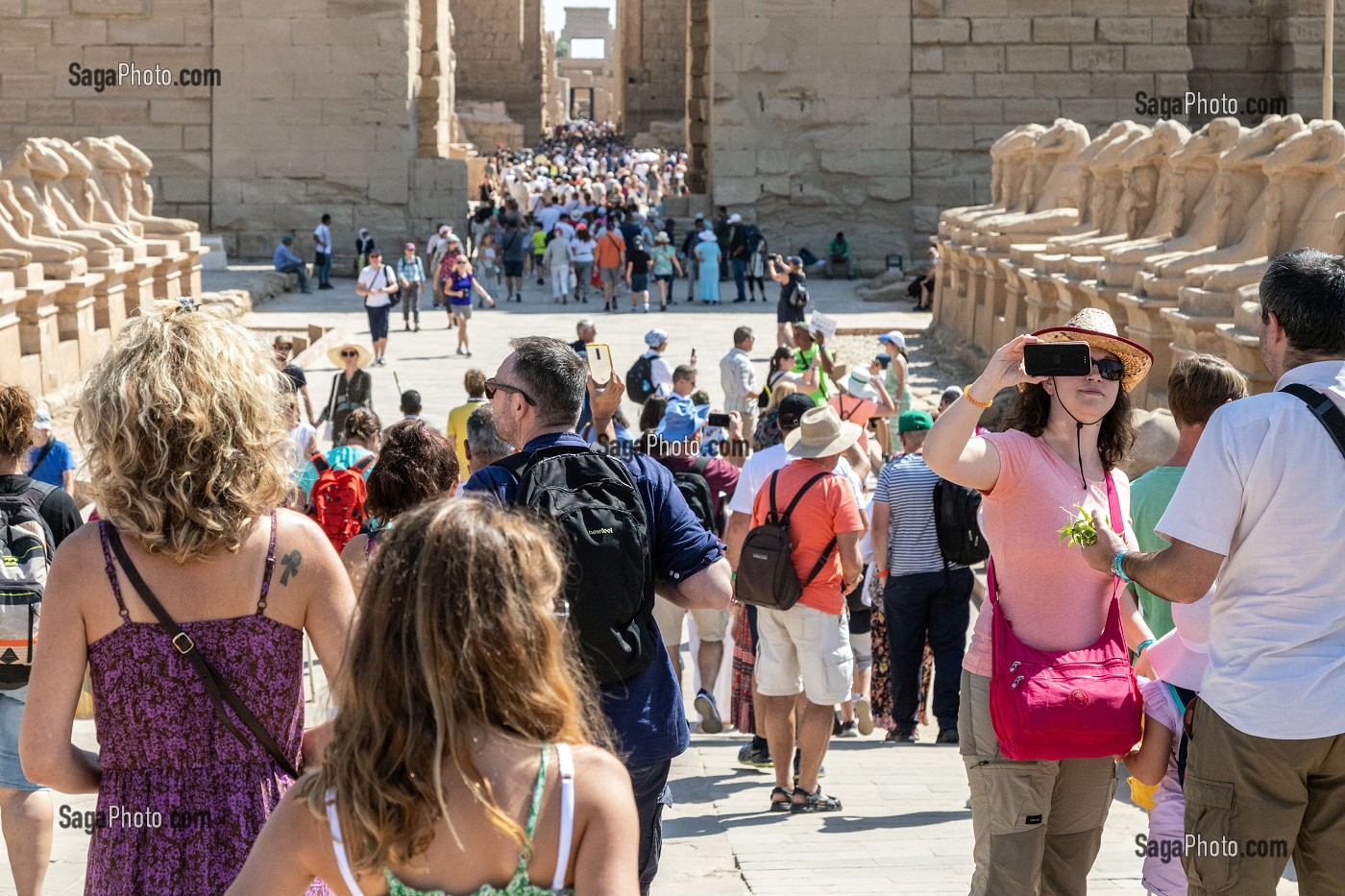 FOULE DE TOURISTES, DROMOS ALLEE DE SPHINX A TETE DE LION, ENTREE DU TEMPLE DE KARNAK, SITE DE L'EGYPTE ANTIQUE DE LA XIII EME DYNASTIE, PATRIMOINE MONDIAL DE L'UNESCO, LOUXOR, EGYPTE, AFRIQUE 