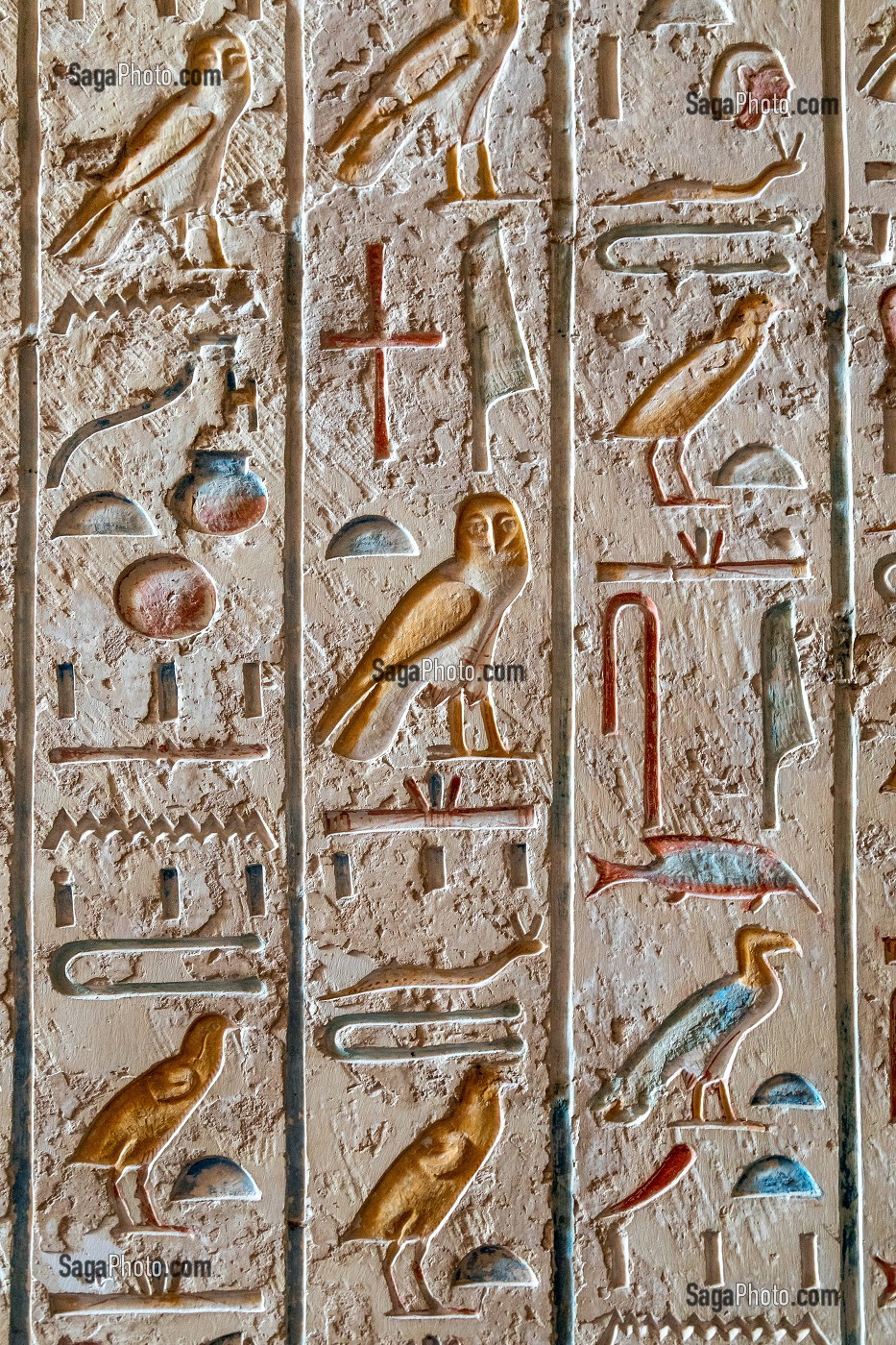 HIEROGLYPHES EGYPTIENNES ECRITURE SACREE FIGURATIVE, TOMBEAU DU PHARAON MERENPTAH, VALLEE DES ROIS, ABRITE LES HYPOGEES DE NOMBREUX PHARAONS DU NOUVEL EMPIRE, LOUXOR, EGYPTE, AFRIQUE 