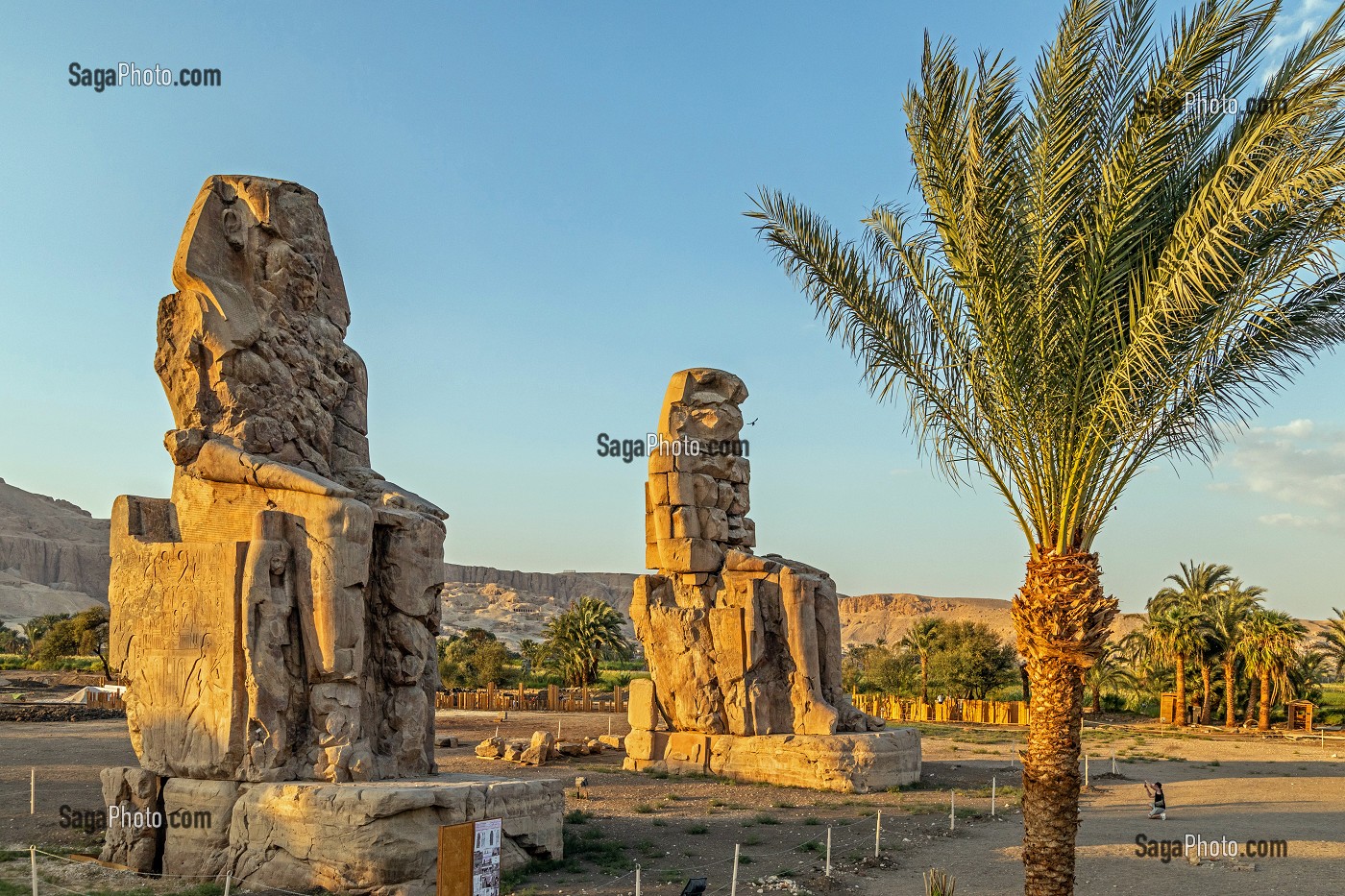 COLOSSES DE MEMNON, STATUES EN PIERRE DE L'EGYPTE ANTIQUE, VESTIGES DU TEMPLE DES MILLIONS D'ANNEES D'AMENHOTEP III, VALLEE DES ROIS, LOUXOR, EGYPTE, AFRIQUE 