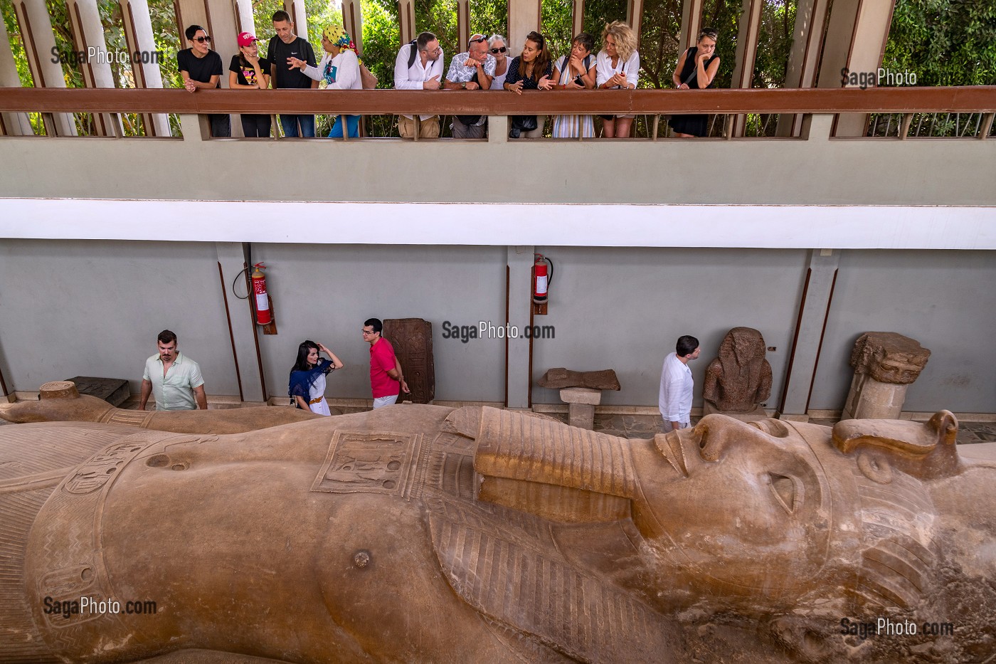 DETAIL DU VISAGE DU PHARAON, STATUE DU COLOSSE EN GRANIT DE RAMSES II, 10 METRES DE LONG, MUSEE DE MIT RAHINA EN PLEIN AIR, CLASSE AU PATRIMOINE MONDIAL DE L'UNESCO, LE CAIRE, EGYPTE, AFRIQUE 