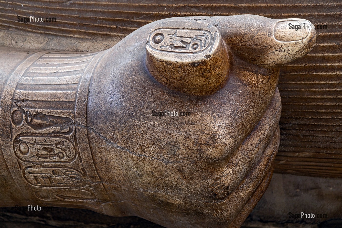 DETAIL DE LA MAIN AVEC LE SCEAU DU PHARAON, STATUE DU COLOSSE EN GRANIT DE RAMSES II, 10 METRES DE LONG, MUSEE DE MIT RAHINA EN PLEIN AIR, CLASSE AU PATRIMOINE MONDIAL DE L'UNESCO, LE CAIRE, EGYPTE, AFRIQUE 