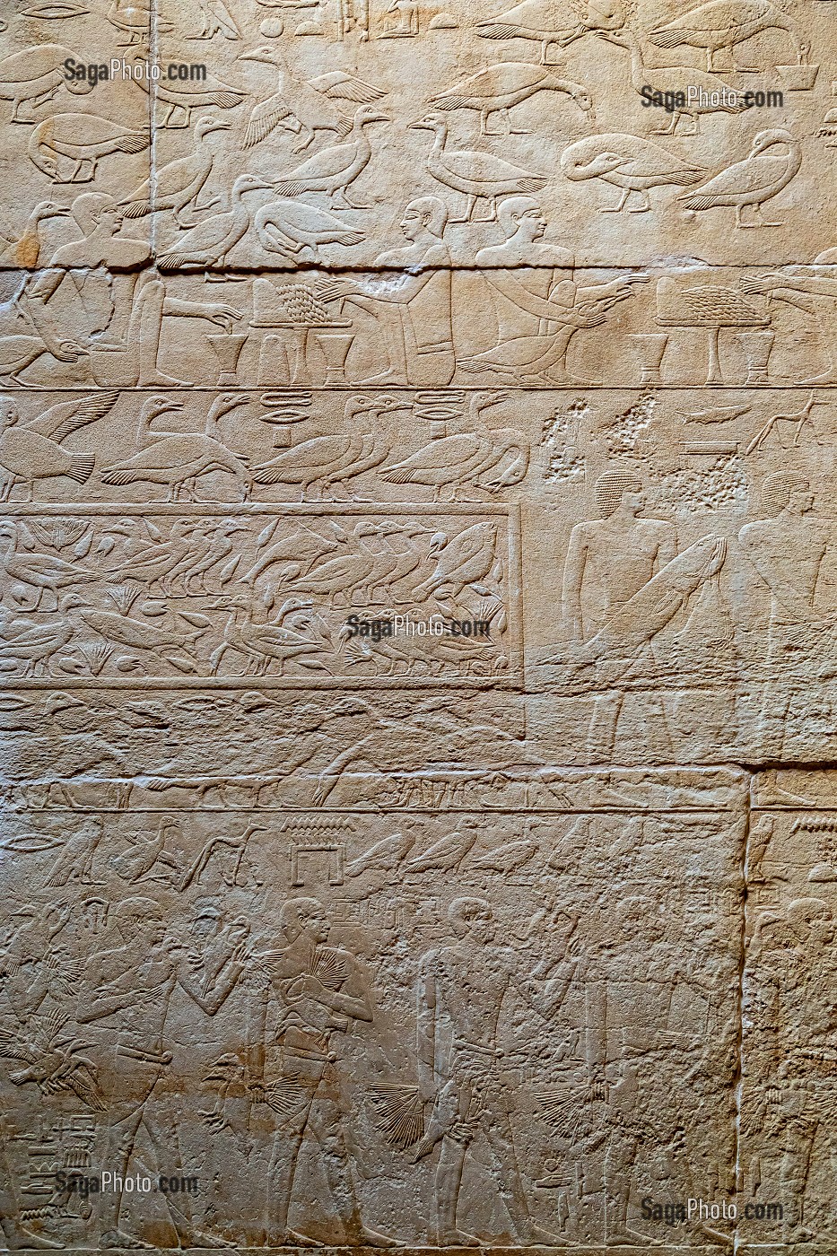 TRAVAIL A LA FERME AVEC UNE REPRESENTATION DU GAVAGE DES OIES, BAS-RELIEF DU MASTABA DE KAGEMNI, VIZIR DU PHARAON TETI DE LA IV EME DYNASTIE, NECROPOLE DE SAQQARAH, REGION DE MEMPHIS ANCIENNE CAPITALE DE L'EGYPTE ANTIQUE, LE CAIRE, EGYPTE, AFRIQUE 