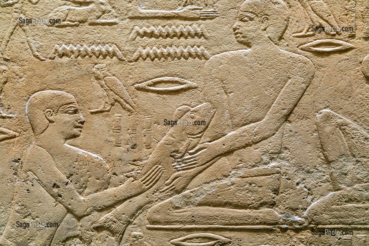 SCENE DE PECHE DE POISSONS, BAS-RELIEF DU MASTABA DE KAGEMNI, VIZIR DU PHARAON TETI DE LA IV EME DYNASTIE, NECROPOLE DE SAQQARAH, REGION DE MEMPHIS ANCIENNE CAPITALE DE L'EGYPTE ANTIQUE, LE CAIRE, EGYPTE, AFRIQUE 