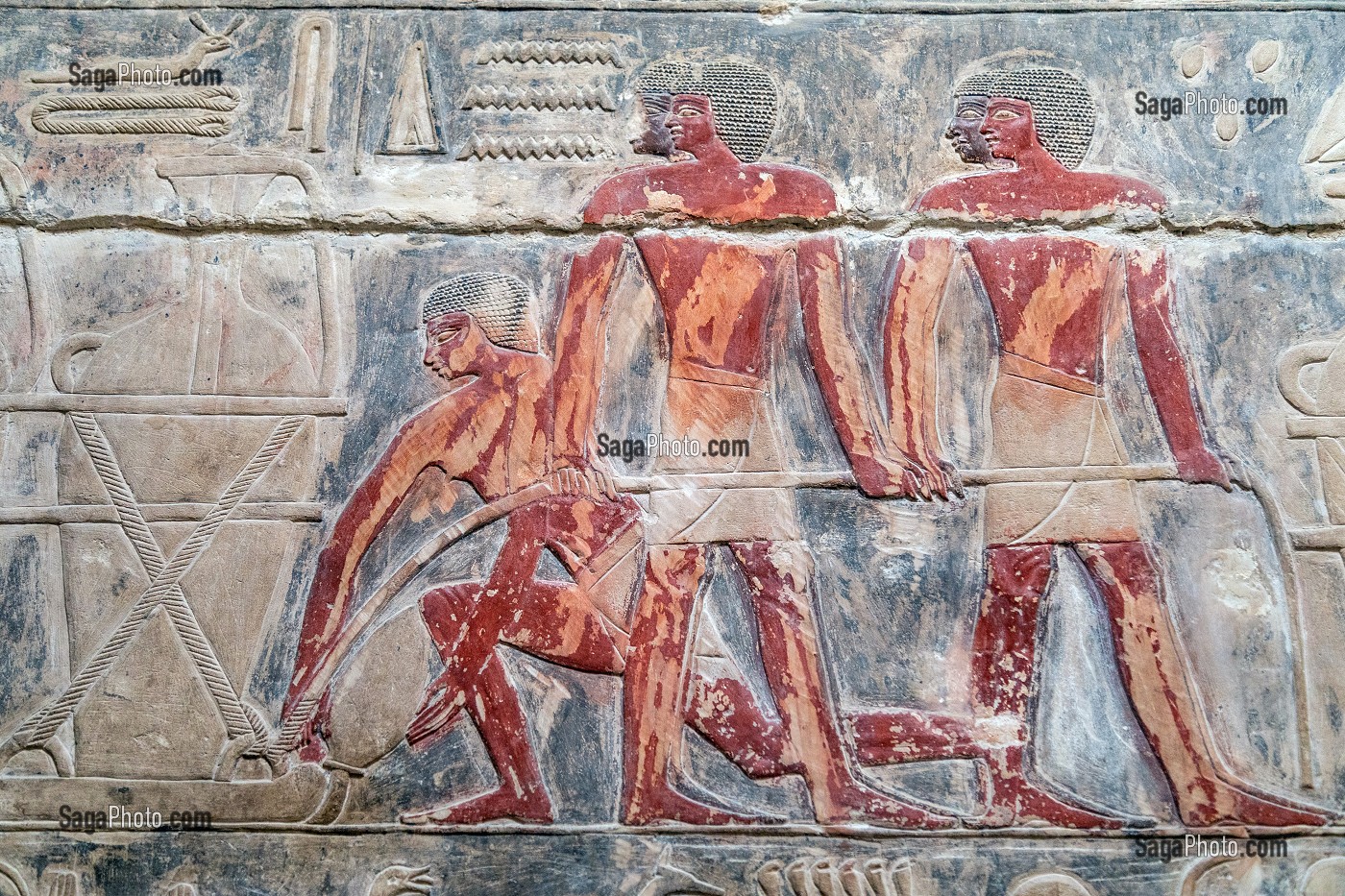 TRAVAIL A LA FERME, BAS-RELIEF DU MASTABA DE KAGEMNI, VIZIR DU PHARAON TETI DE LA IV EME DYNASTIE, NECROPOLE DE SAQQARAH, REGION DE MEMPHIS ANCIENNE CAPITALE DE L'EGYPTE ANTIQUE, LE CAIRE, EGYPTE, AFRIQUE 