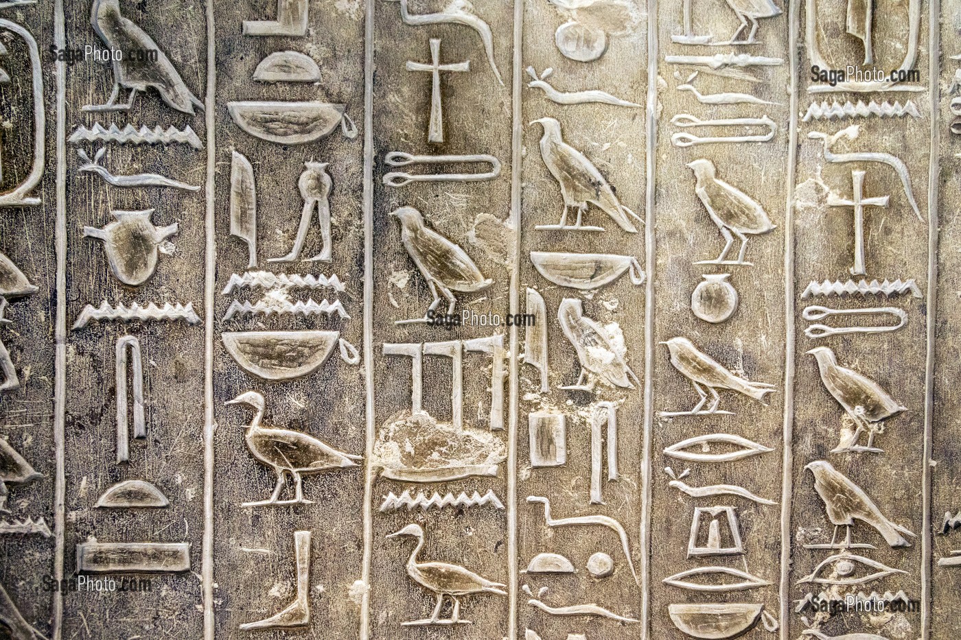 HIEROGLYPHES EGYPTIENNES ECRITURE SACREE FIGURATIVE, TOMBEAU DE KAGEMNI, VIZIR DU PHARAON TETI DE LA IV EME DYNASTIE, NECROPOLE DE SAQQARAH, REGION DE MEMPHIS ANCIENNE CAPITALE DE L'EGYPTE ANTIQUE, LE CAIRE, EGYPTE, AFRIQUE 