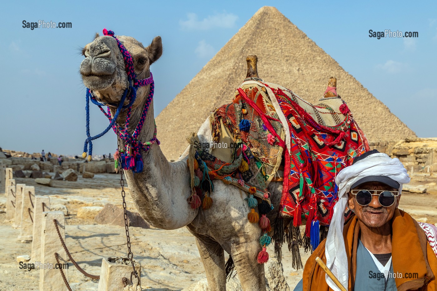 DROMADAIRE DEVANT LA PYRAMIDE DE KHEOPS, LA PLUS GRANDE DE TOUTES LES PYRAMIDES, LE CAIRE, EGYPTE, AFRIQUE 