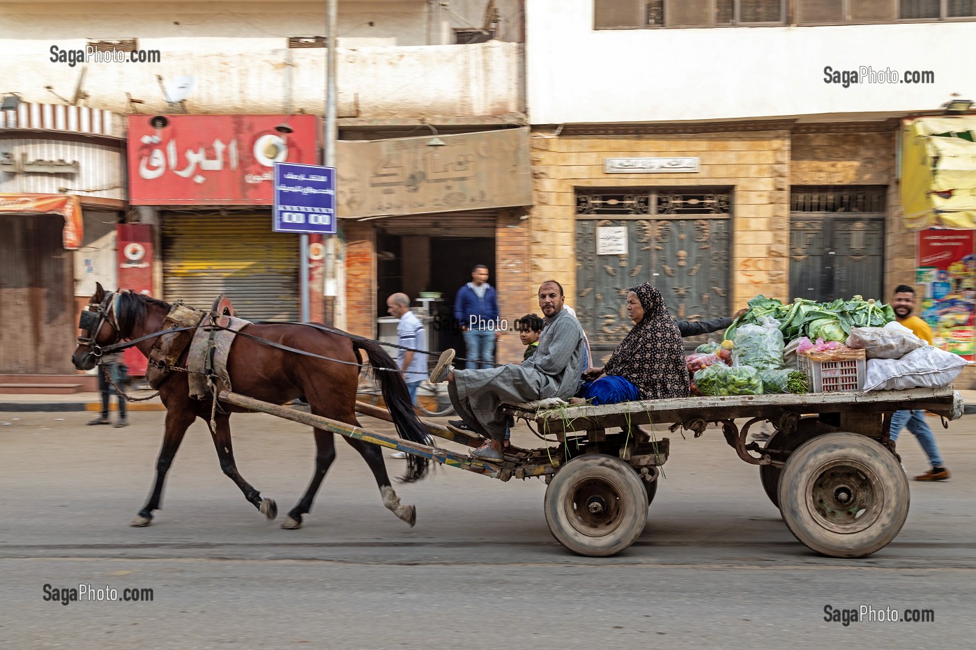 MARAICHER QUI SE REND AU MARCHE EN FAMILLE AVEC SON CHEVAL ET SA REMORQUE DE LEGUMES, LE CAIRE, EGYPTE, AFRIQUE 