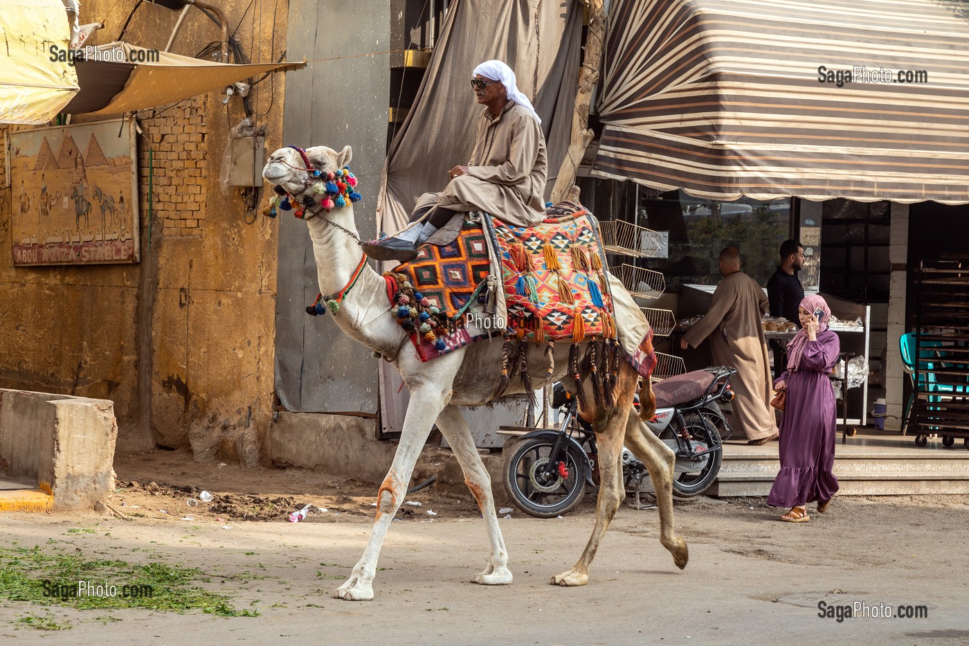 SCENE DE RUE A GIZEH AVEC L'HOMME AU DROMADAIRE ET LA JEUNE FEMME ARABE AVEC SON PORTABLE, LE CAIRE, EGYPTE, AFRIQUE 